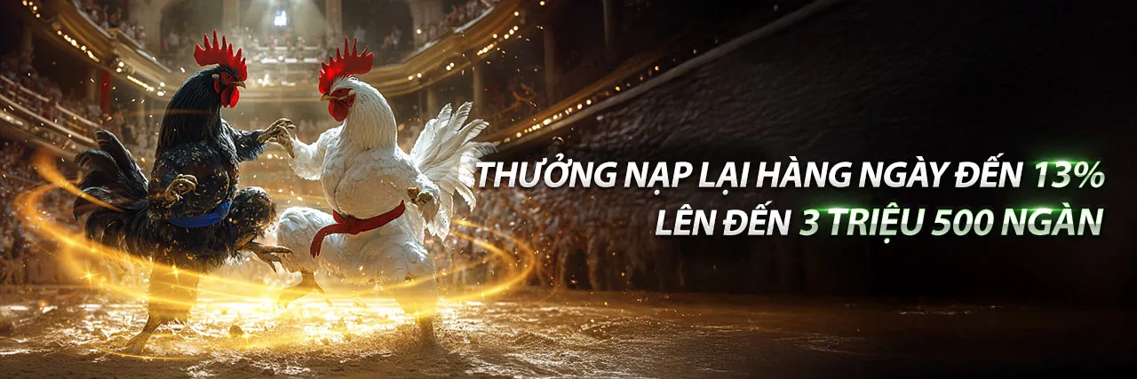 Chương Trình VIP 55my đăng nhập